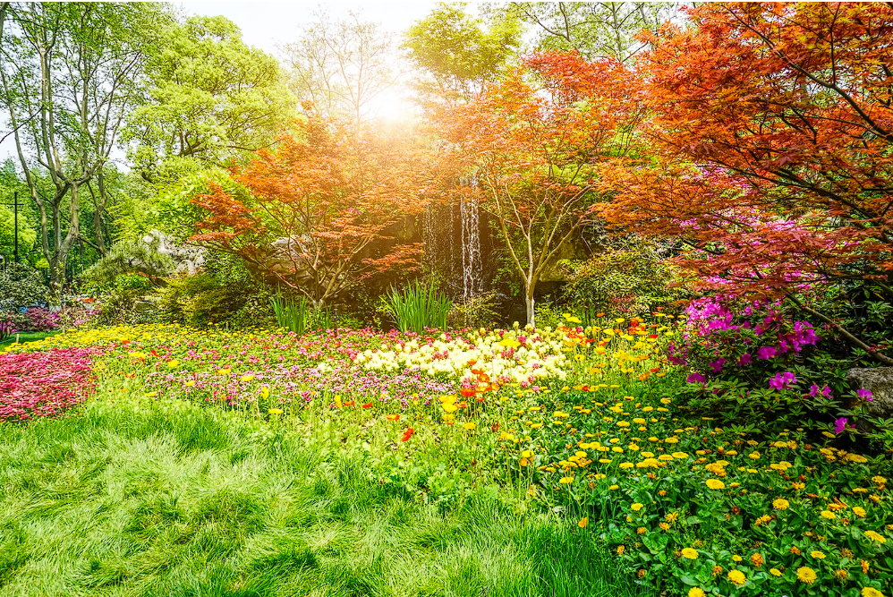 Passo a Passo: Preparando Seu Jardim para uma Primavera Exuberante