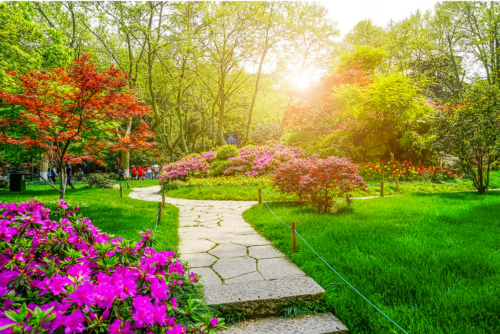 Passo a Passo: Preparando Seu Jardim para uma Primavera Exuberante